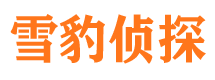 禅城市婚姻出轨调查